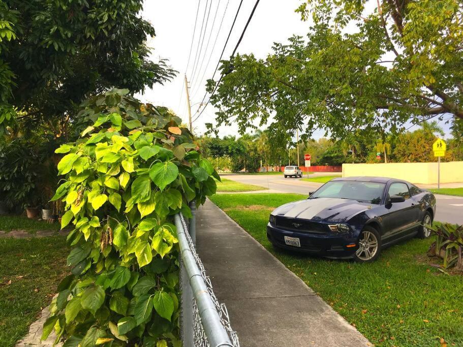 Miami Bungalow Oasis Near Everglades & The Keys Cutler Bay Extérieur photo