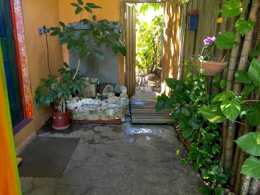 Miami Bungalow Oasis Near Everglades & The Keys Cutler Bay Extérieur photo